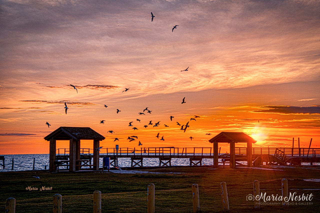 Rockport Texas Living Real Estate Agents In RockportFulton, TX