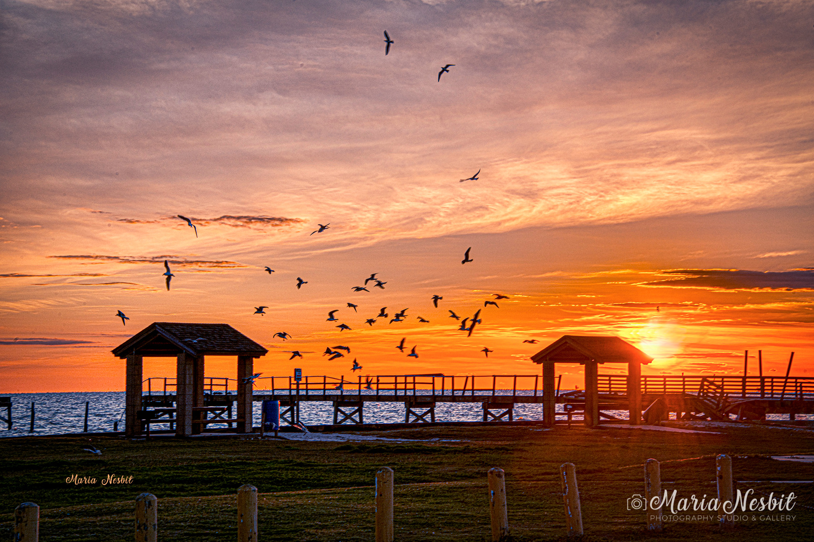 Fulton Music in the park Real Estate Agents In RockportFulton, TX